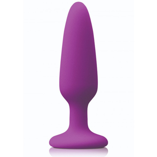 NS Novelties - Colors Pleasures Small Buttplug Paars