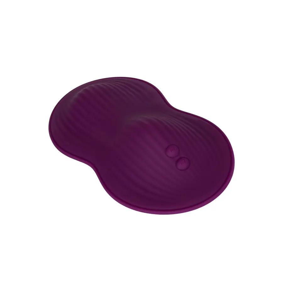 Remote Control Dual Rider Toys for Her