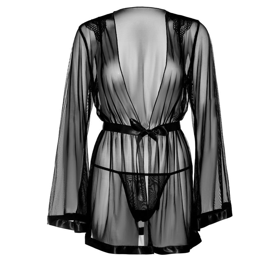 Sheer Kimono and String Lingerie