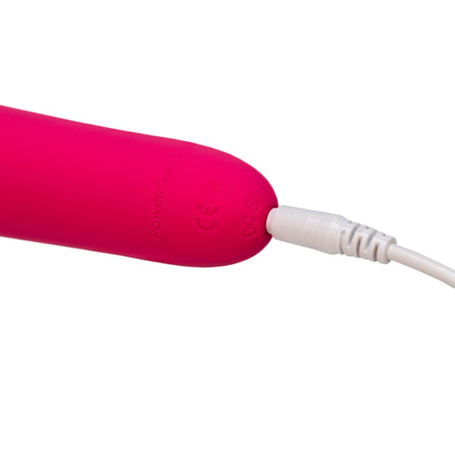 Wonderlust - Destiny USB-Oplaadbare Power Wand Massager Vrouwen Speeltjes