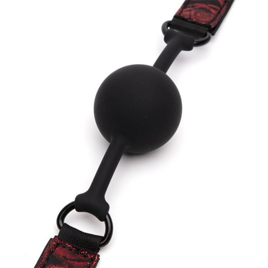 Fifty Shades of Grey - Sweet Anticipation Ball Gag S&M