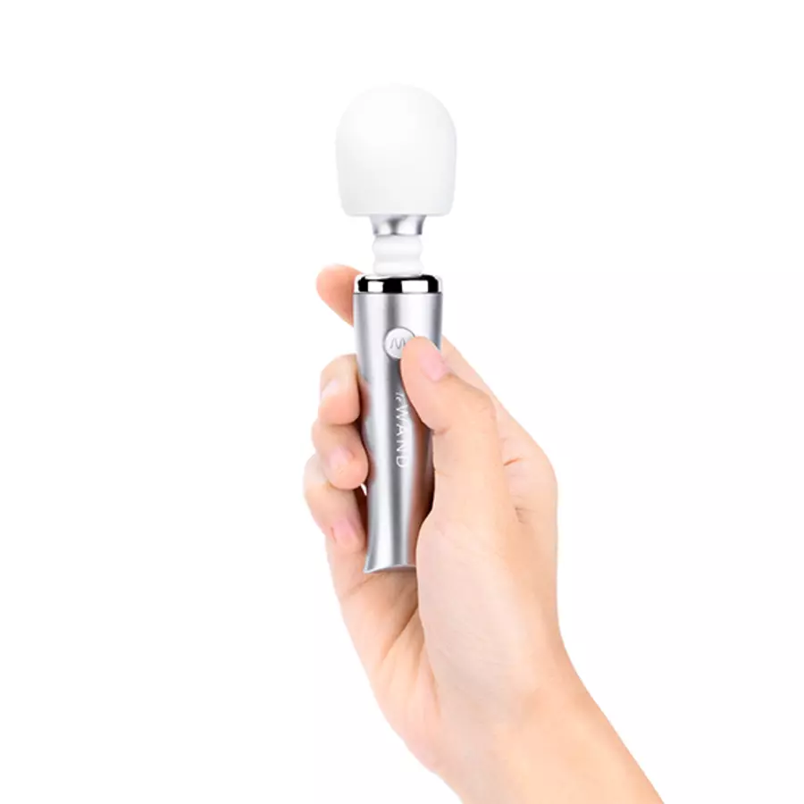 Le Wand - Mini Pleasures Set Wand Massager en Metalen Dildo Vrouwen Speeltjes