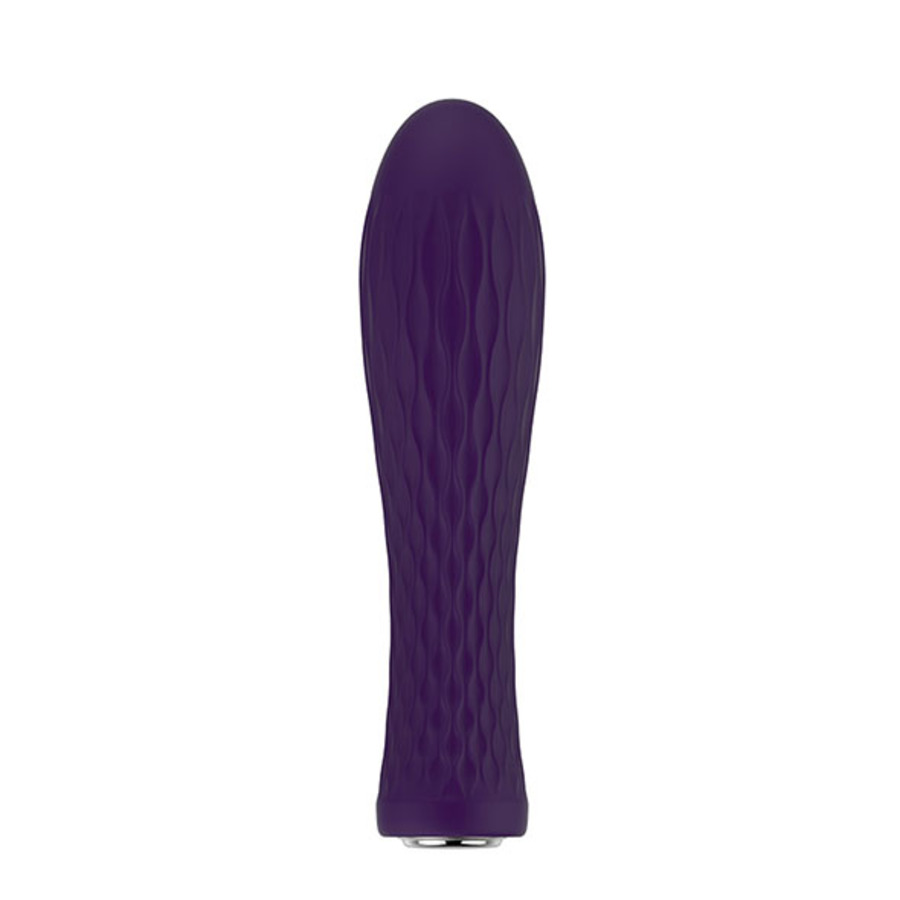 Nalone - Ian Silicone Bullet Vibrator USB-rechargeable Toys for Her