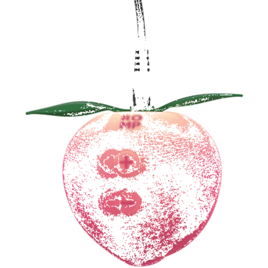 ROMP - Peach Luchtdrukvibrator USB Oplaadbaar Vrouwen Speeltjes