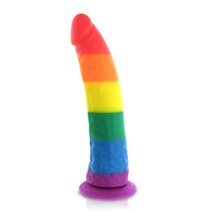 Pride Dildo - Silicone Rainbow Dildo Toys for Her