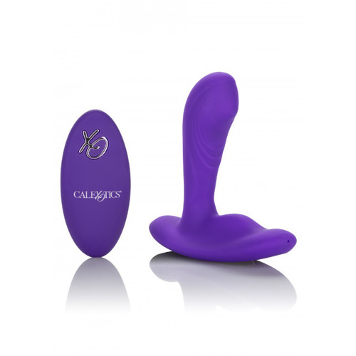 CalExotics - USB-Oplaadbare Remote Pinpoint Pleaser