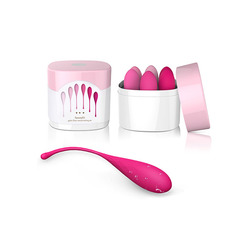 FeelzToys - FemmeFit Pelvic Muscle Training Set FeelzToys - FemmeFit Pelvic Muscle Training Set Toys for Her