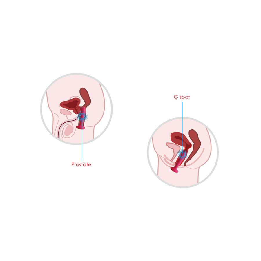 Svakom - Primo Heating Butt Plug Anal Toys