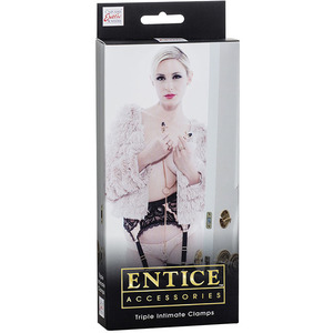 Entice - Tepelklemmen Met Ketting En Clitorisketting SM